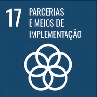 ODS 17 — Parcerias